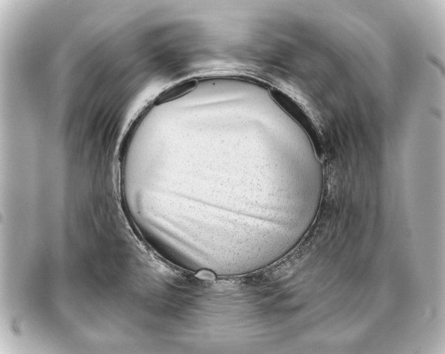 X0000096731472200802261441