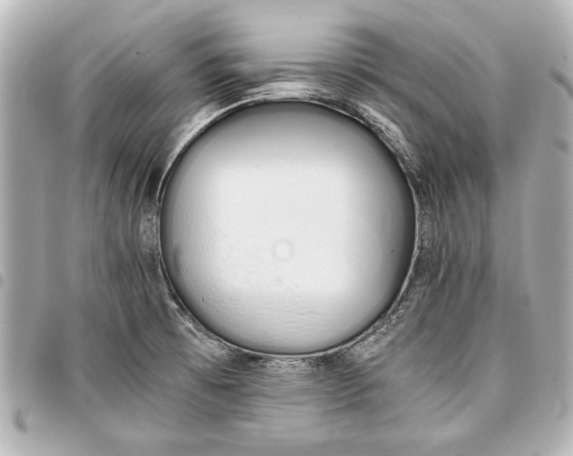 X0000096731473200802261440