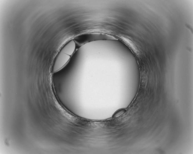 X0000096731476200802261440