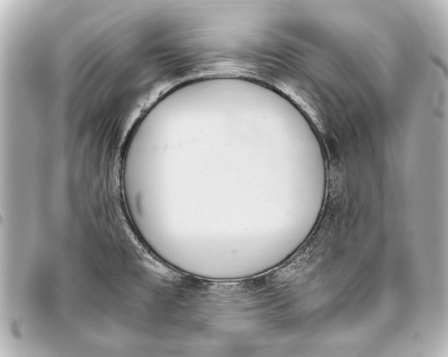 X0000096731477200802261440