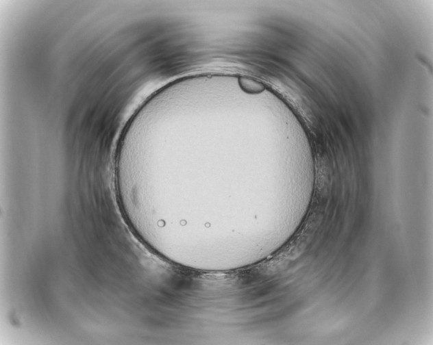 X0000096731478200802261440