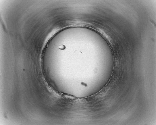 X0000096731480200802261440