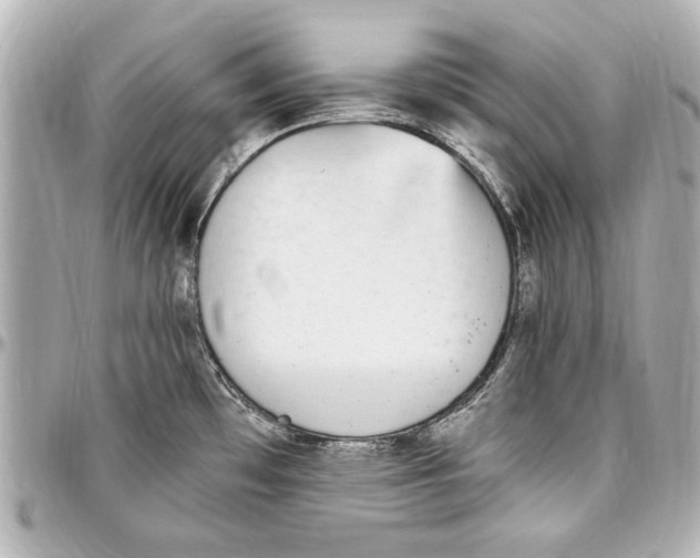 X0000096731481200802261440