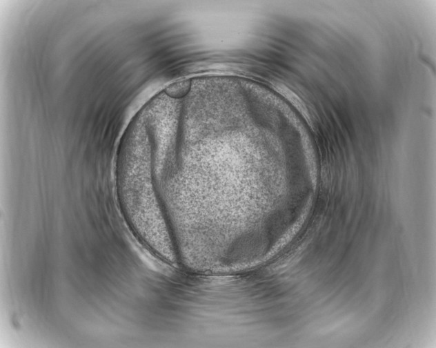 X0000096731482200802261440