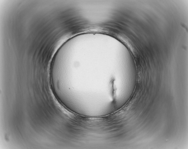 X0000096731483200802261440