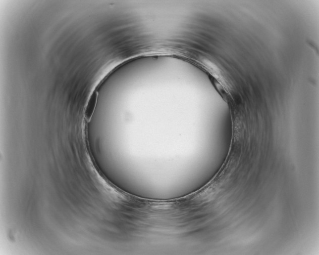 X0000096731484200802261440