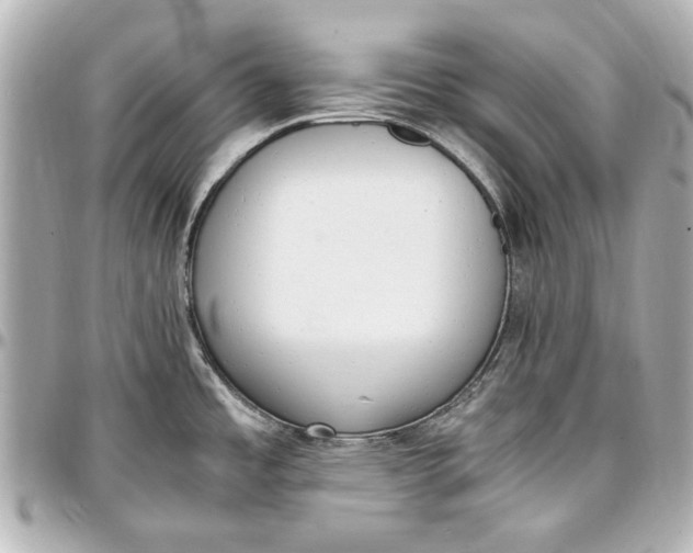 X0000096731485200802261440