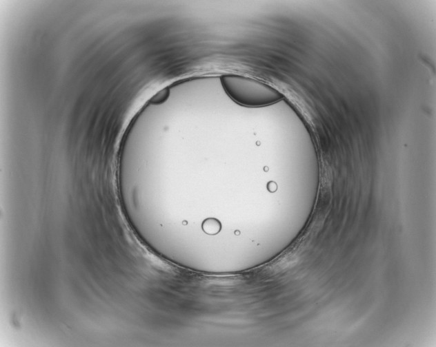 X0000096731486200802261440