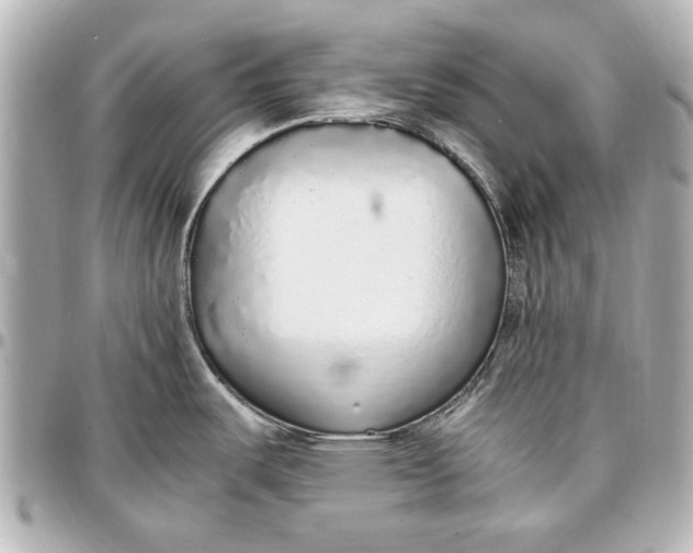 X0000096731487200802261440