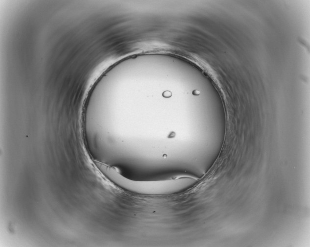 X0000096731488200802261440