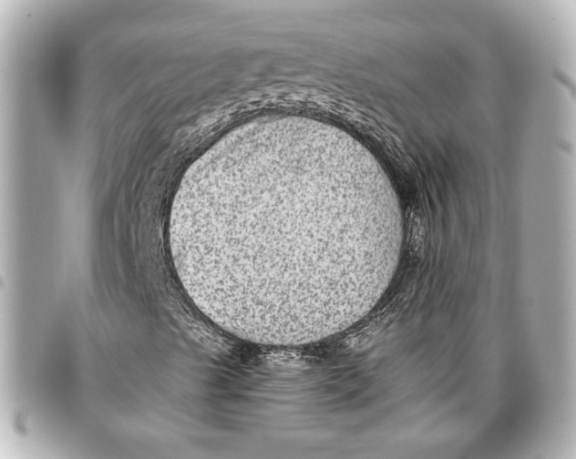 X0000096731489200802261439