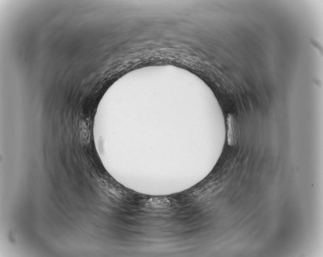 X0000096731491200802261439