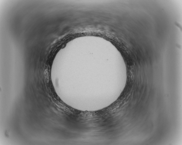 X0000096731493200802261439