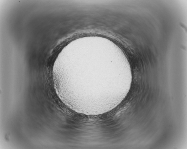 X0000096731494200802261439