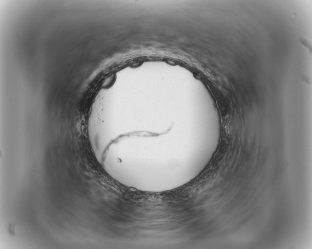 X0000096731495200802261439