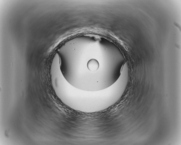 X0000096731496200802261439