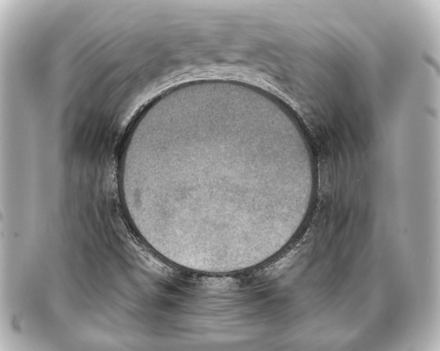 X0000096731498200802261439