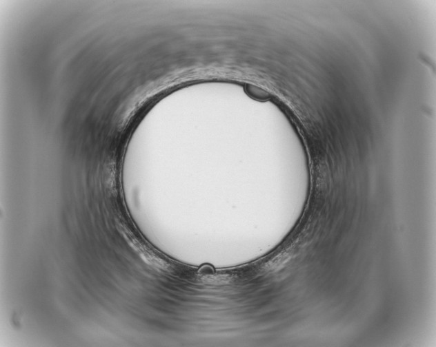 X0000096731499200802261439