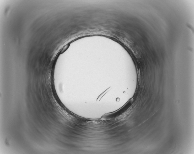 X0000096731500200802261439