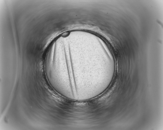 X0000096731501200802261439