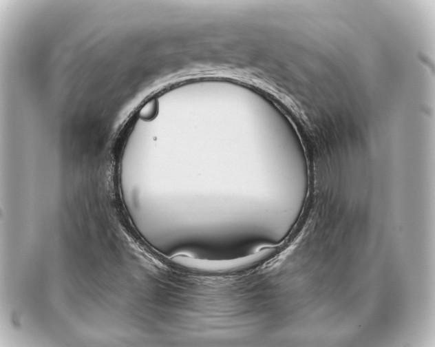 X0000096731502200802261439