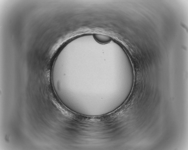 X0000096731503200802261439