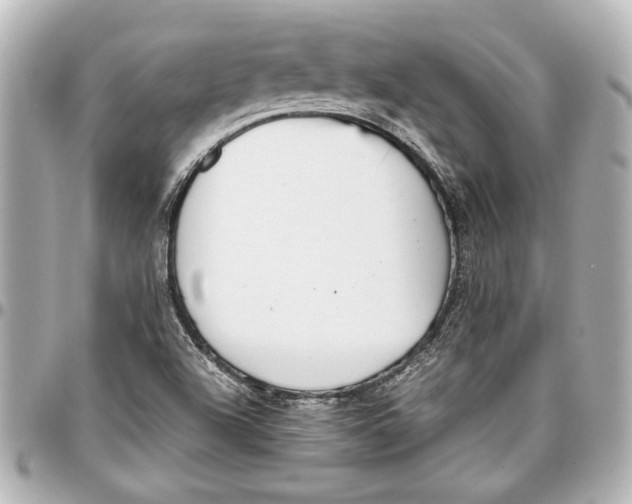 X0000096731504200802261439