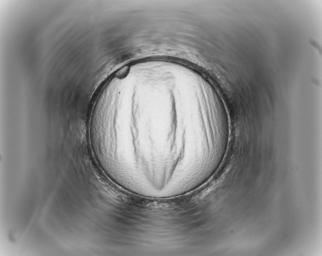 X0000096731505200802261439