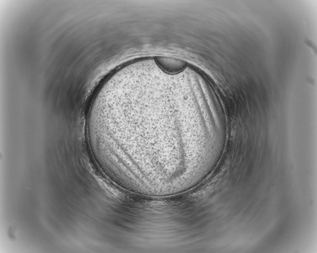 X0000096731507200802261439