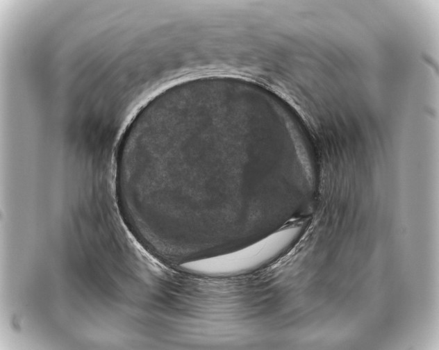 X0000096731508200802261439