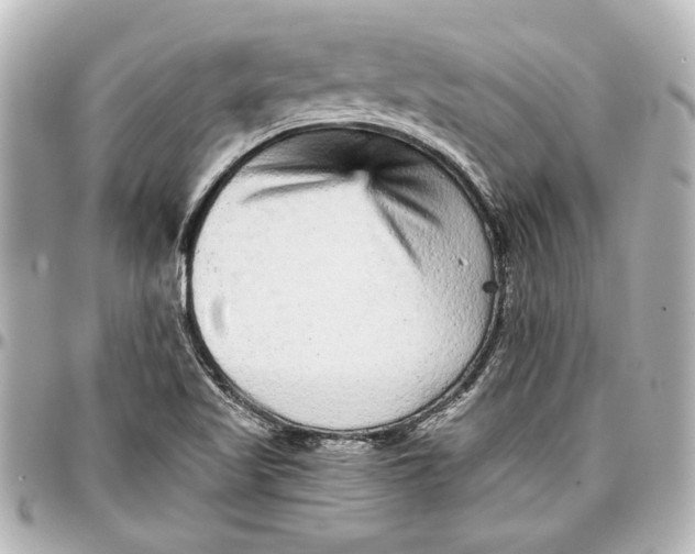 X0000096731509200802261439