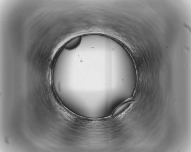 X0000096731510200802261439