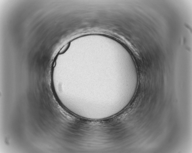 X0000096731512200802261440