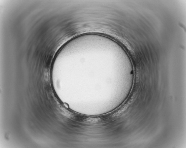 X0000096731513200802261440