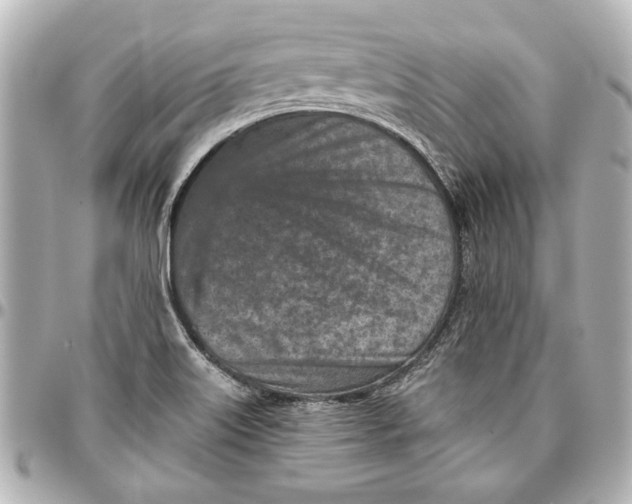 X0000096731515200802261440