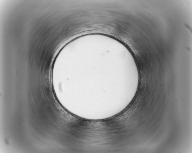 X0000096731516200802261440