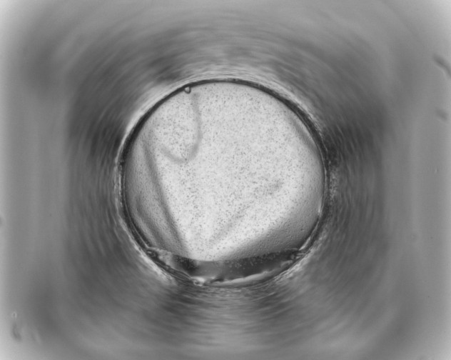 X0000096731517200802261440