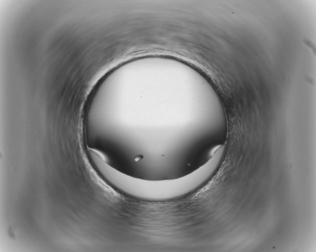 X0000096731518200802261440