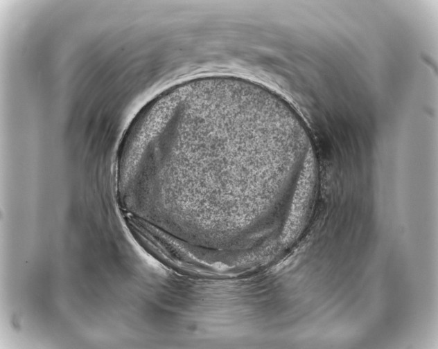 X0000096731519200802261440