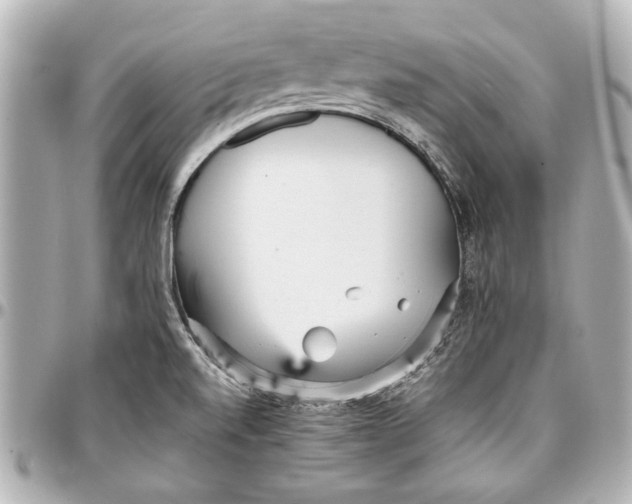 X0000096731520200802261440