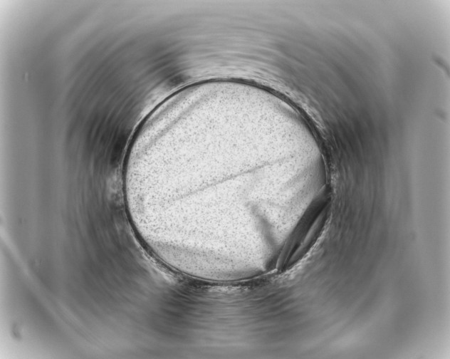 X0000096731521200802261440