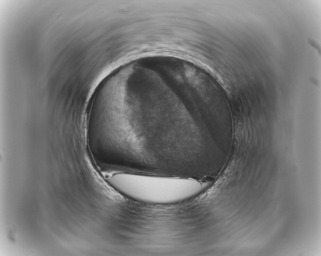 X0000096731522200802261440