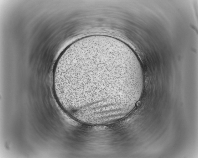 X0000096731523200802261440