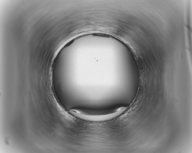 X0000096731524200802261440