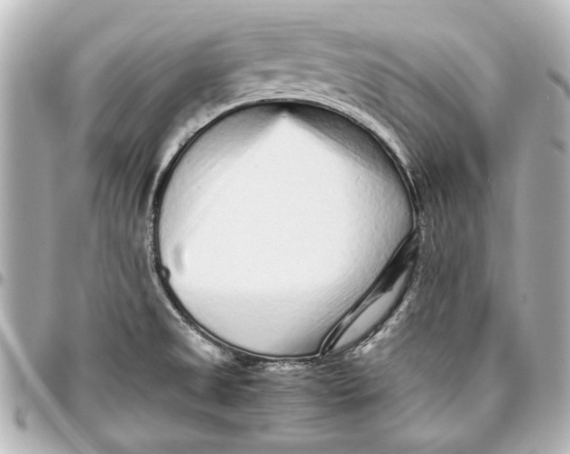 X0000096731525200802261440