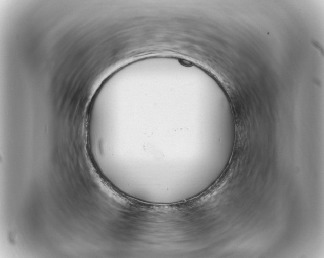 X0000096731526200802261440