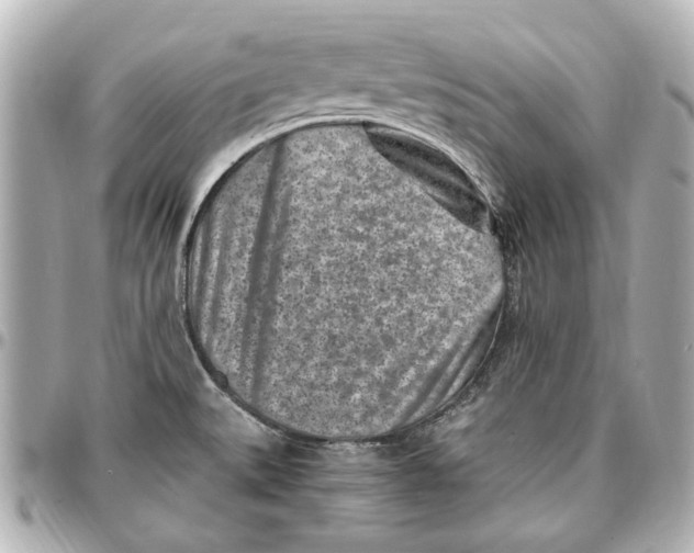 X0000096731527200802261440