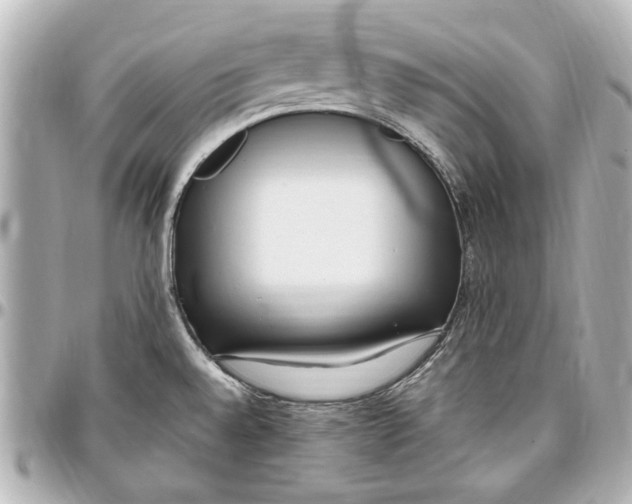 X0000096731528200802261440