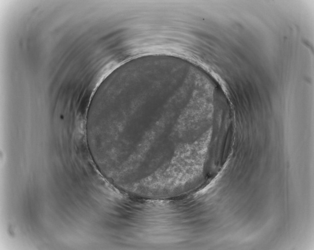 X0000096731529200802261440