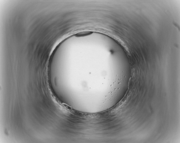 X0000096731530200802261440